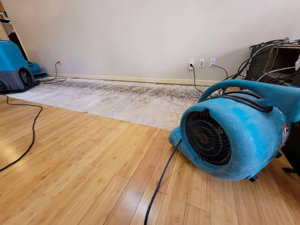 Professional Water Removal technician working in Xenia, OH